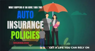 Double Auto Insurance: What It Means for Adults