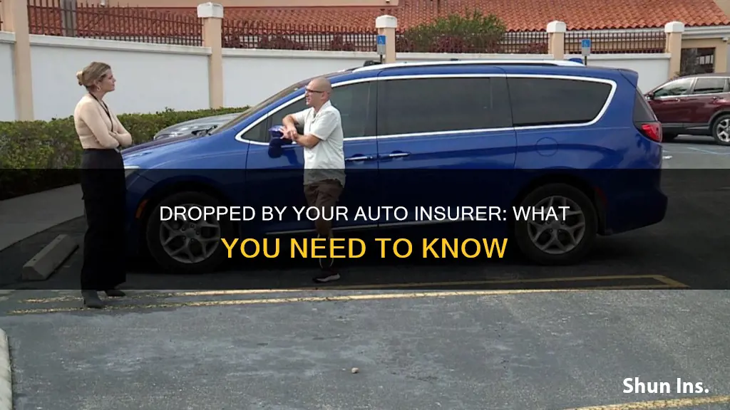 what happens if an auto insurer drops you