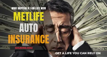 Late Payment Consequences for MetLife Auto Insurance Policyholders