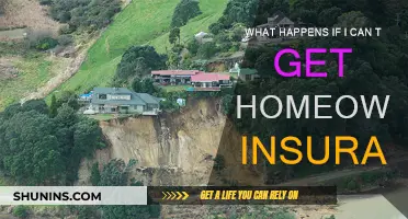 How to Cope Without Homeowners Insurance