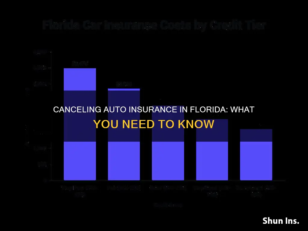 what happens if I cancel my auto insurance in Florida