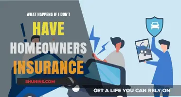Homeowners Insurance: A Crucial Safety Net You Need