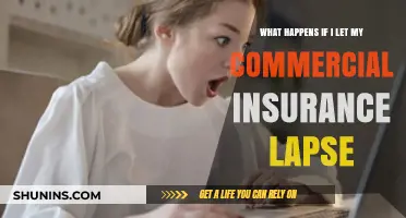 Lapsed Commercial Insurance: Risks and Consequences