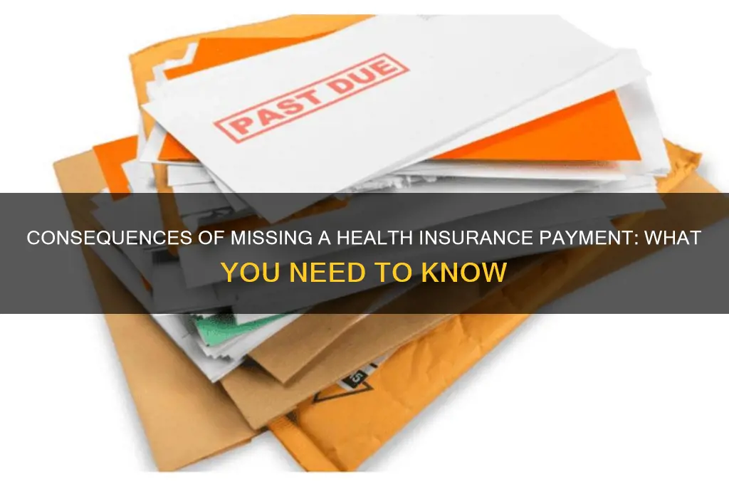 what happens if i miss a health insurance payment