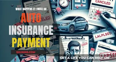 Consequences of Missing Auto Insurance Payments: What to Expect