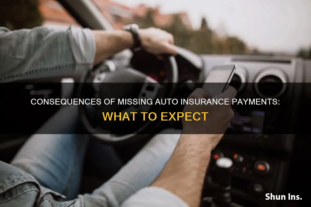 what happens if I miss an auto insurance payment