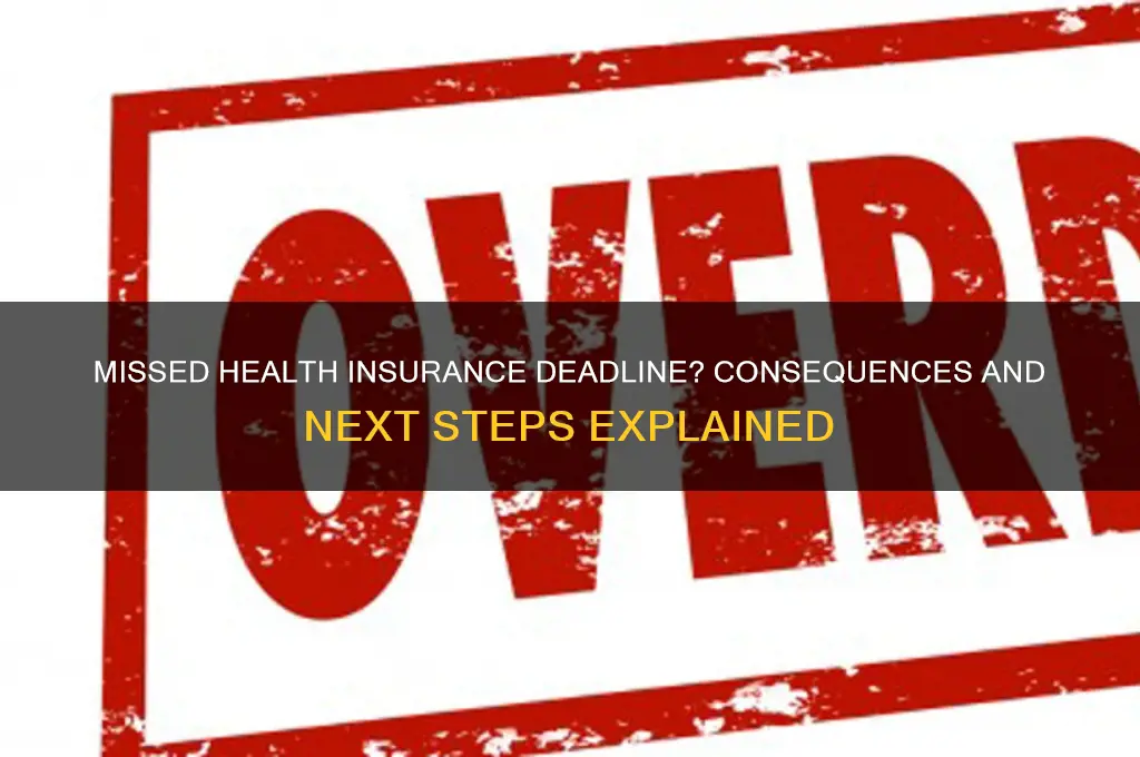 what happens if i miss the deadline for health insurance
