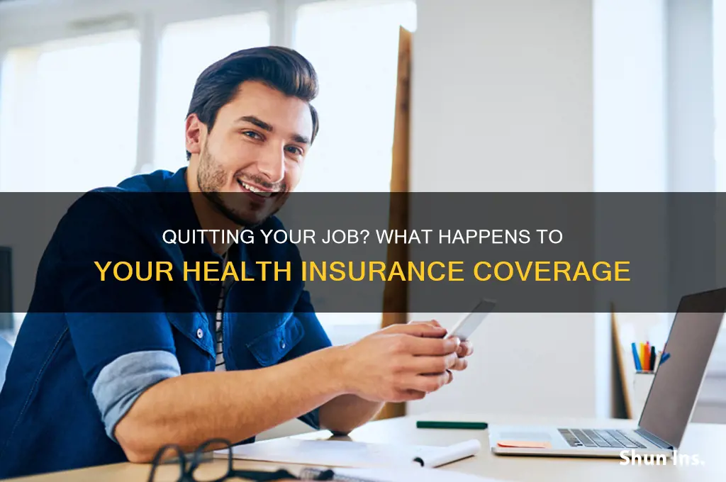 what happens if i quit my job health insurance