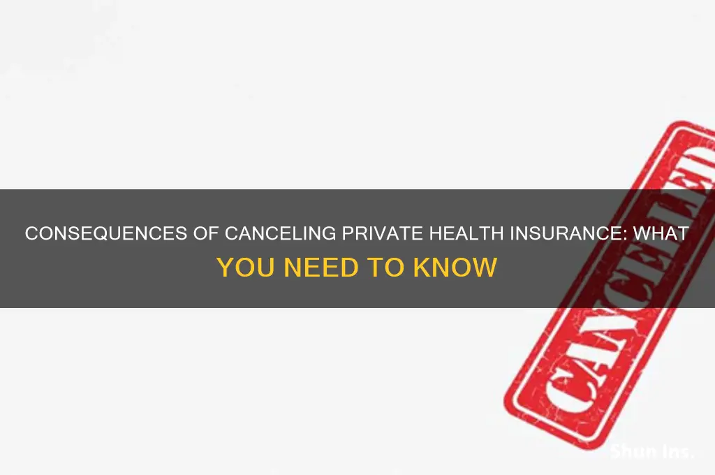 what happens if i stop my private health insurance