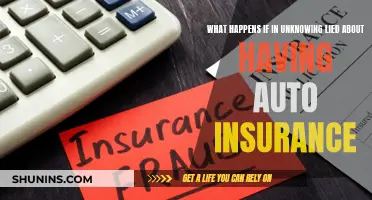 Consequences of Lying About Auto Insurance Coverage