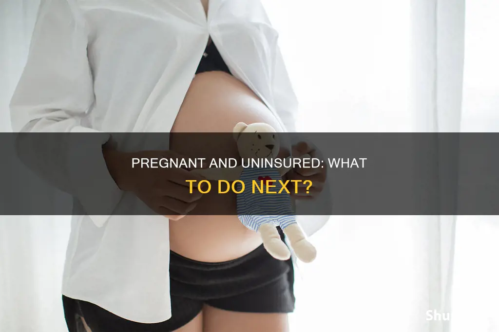 what happens if medical insurances cuts off while pregnant