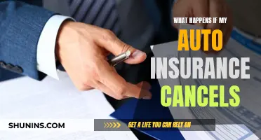 Auto Insurance Cancellation: What Now?