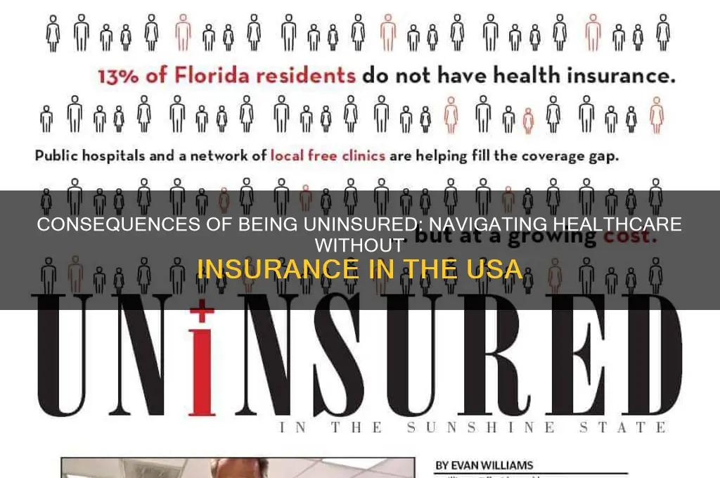 what happens if no health insurance in usa