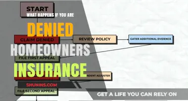 Denied Home Insurance: What Are Your Options?
