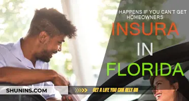 Homeowner's Insurance: Florida's Uninsurable Homes