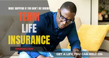 Term Life Insurance: Outliving Your Policy