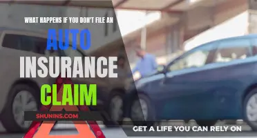 Consequences of Not Filing an Auto Insurance Claim