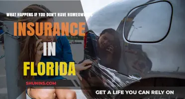 Homeowners Insurance: Florida's Uninsured Risk Everything