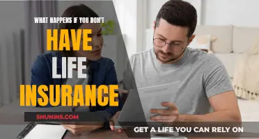 Life Without Insurance: Risking Your Family's Future Security