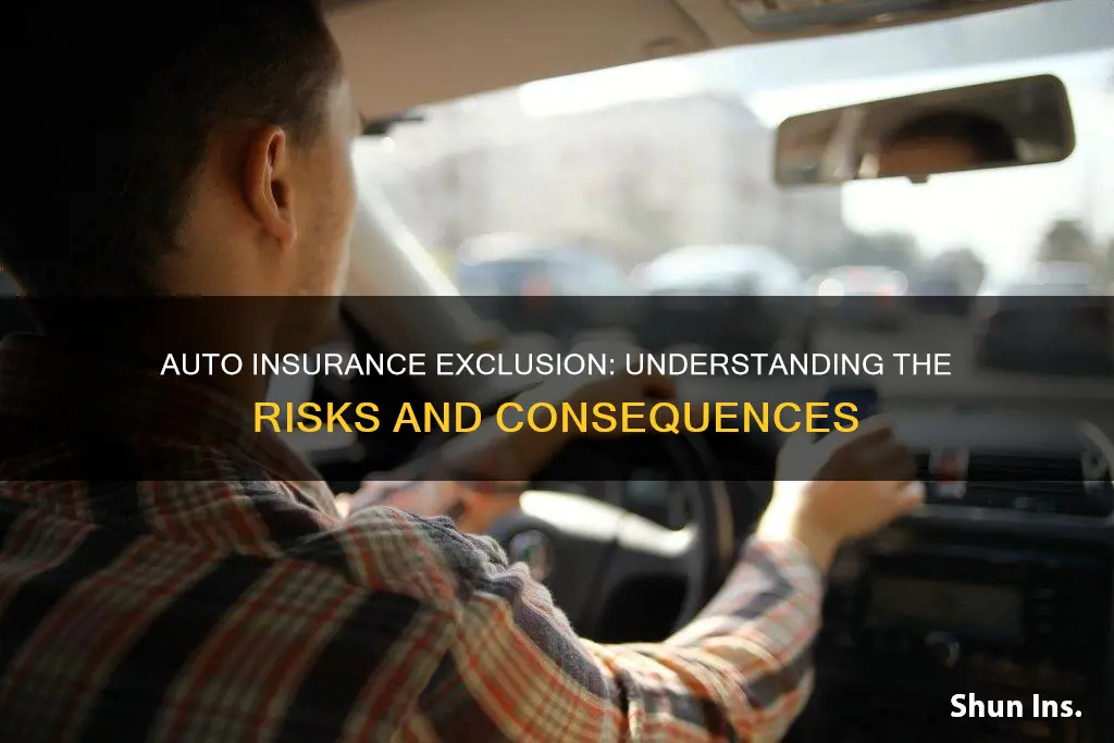 what happens if you exclude someone from auto insurance