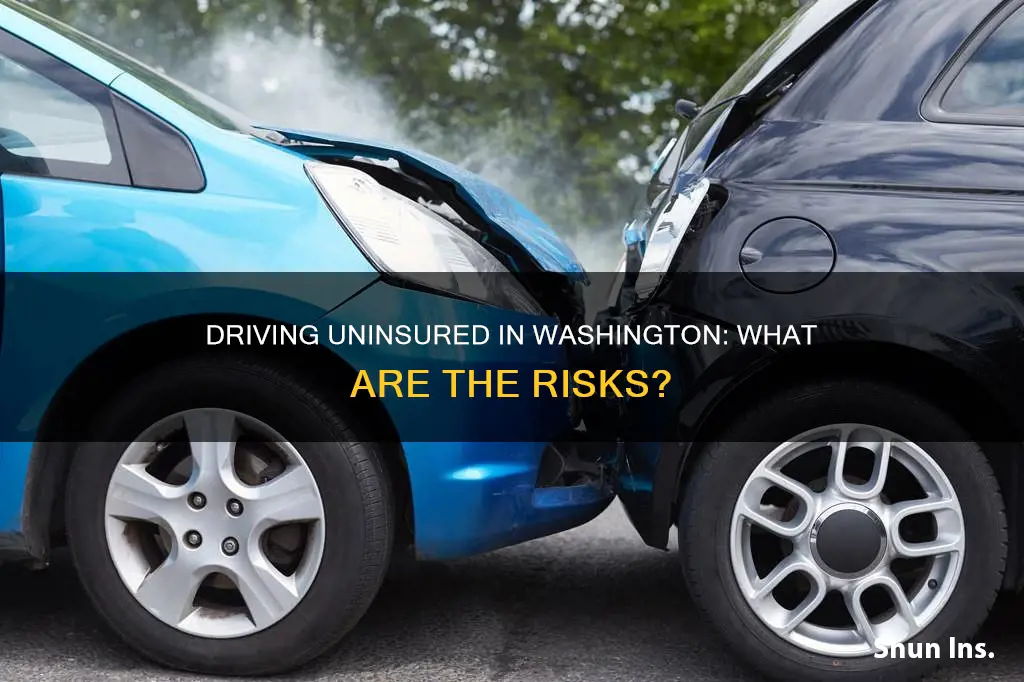 what happens if you have no auto insurance in washington