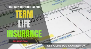 Term Life Insurance: Outliving and Navigating the Next Steps