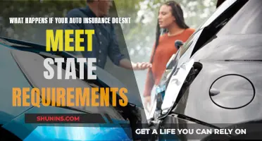 Understanding Auto Insurance: State Requirements and Your Policy