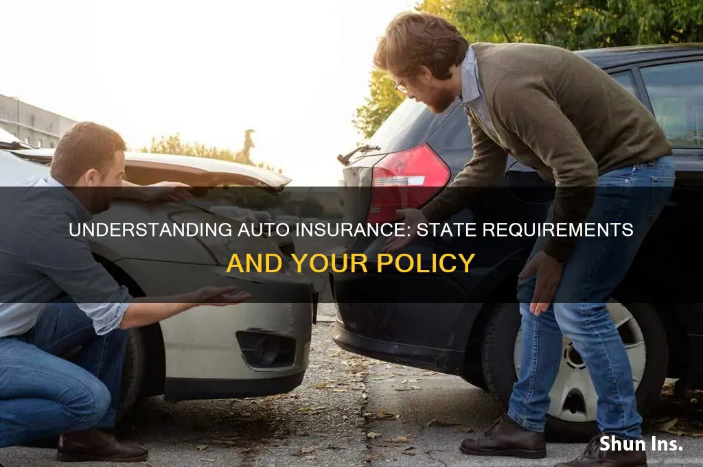 what happens if your auto insurance doesnt meet state requirements