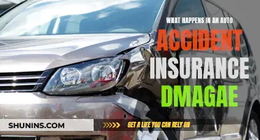 Auto Accident Insurance: Damage, Claims, and You