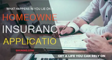 Home Insurance Lies: What's the Real Cost?
