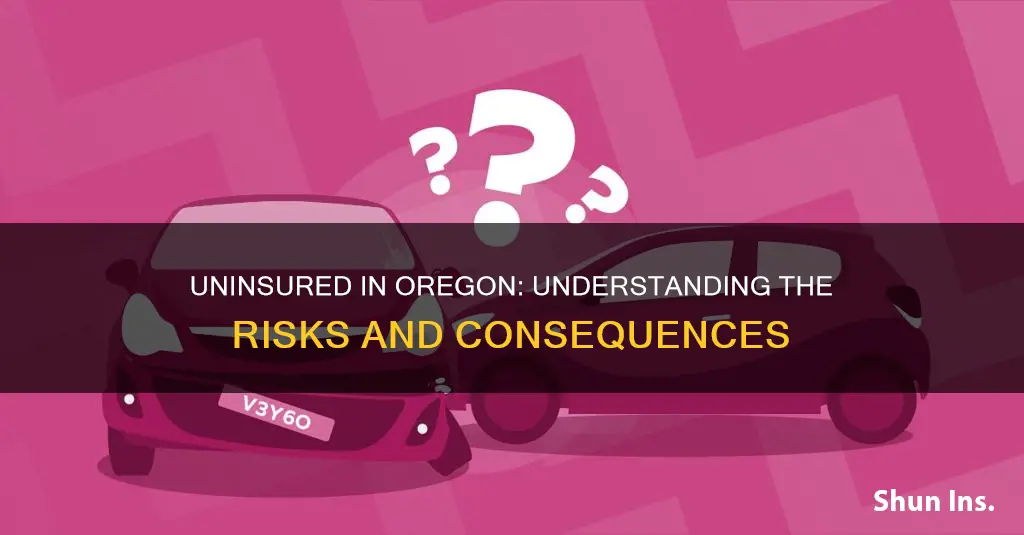 what happens to a person in Oregon without auto insurance