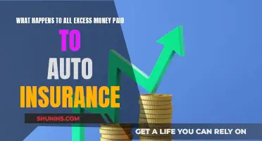 Extra Auto Insurance Money: Where Does it Go?