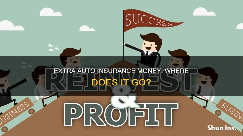 what happens to all excess money paid to auto insurance