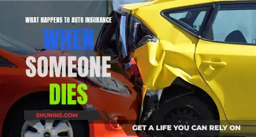 Auto Insurance Afterlife: What Happens When Policyholders Die?