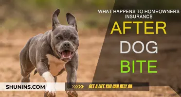 Home Insurance: Dog Bite Claims and Coverage