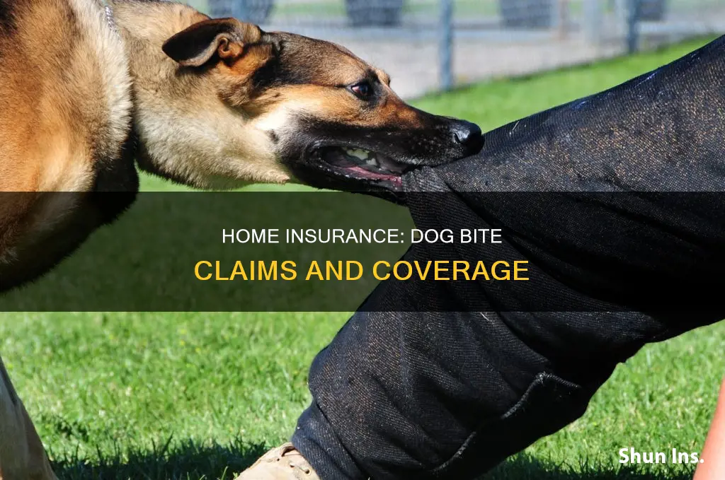 what happens to homeowners insurance after dog bite