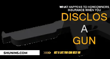 Does Disclosing Gun Ownership Affect Your Home Insurance?