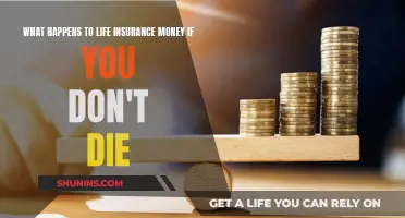 Life Insurance: Benefiting the Living, Not Just the Dead