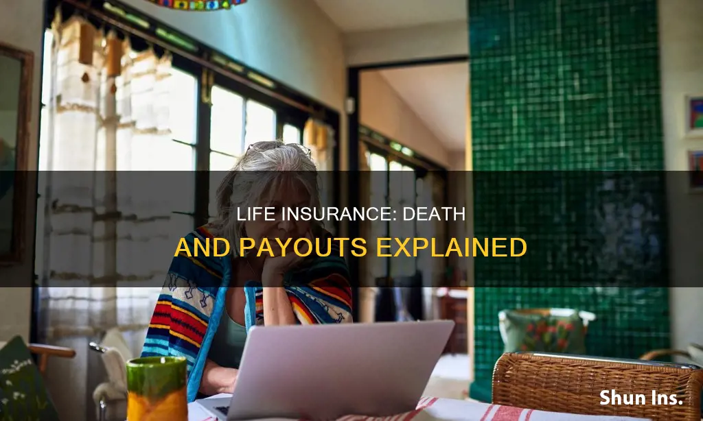 what happens to life insurance when someone dies