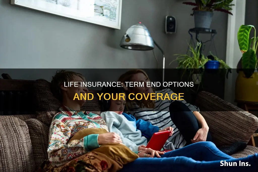 what happens to life insurance when term ends