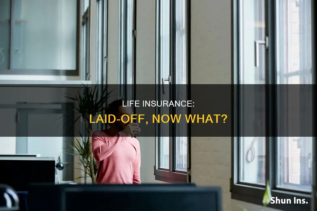 what happens to life insurance when you are laid off