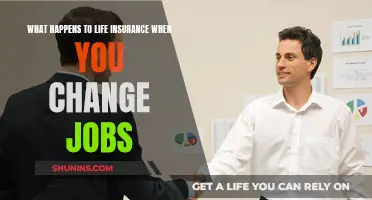 Life Insurance: Job Change Impact Explained