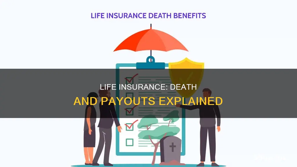 what happens to life insurance when you die