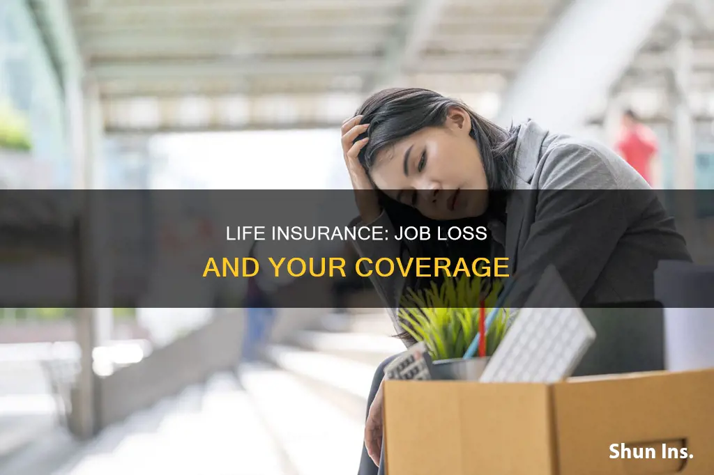 what happens to life insurance when you leave a job