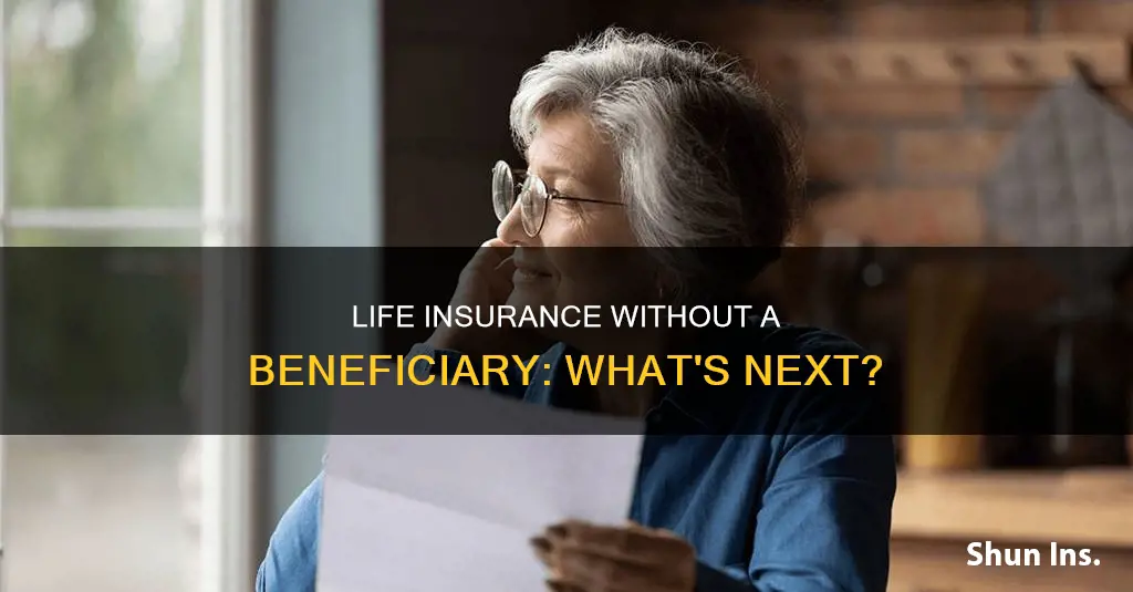 what happens to life insurance with no beneficiary