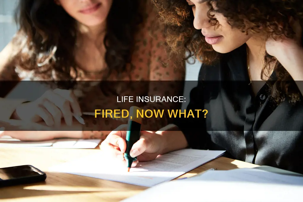 what happens to my life insurance if I get fired