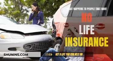 Life Without Insurance: A Risky Gamble