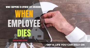 Life Insurance: Spouse Benefits When an Employee Dies