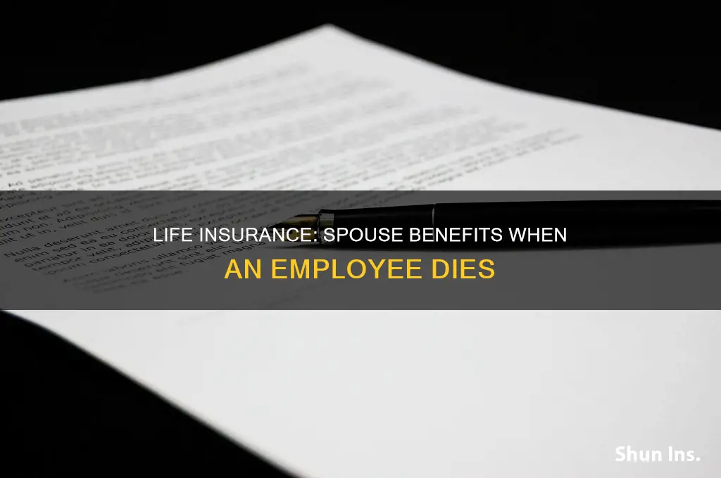 what happens to spouse life insurance when employee dies