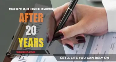 Term Life Insurance: What Happens After 20 Years?